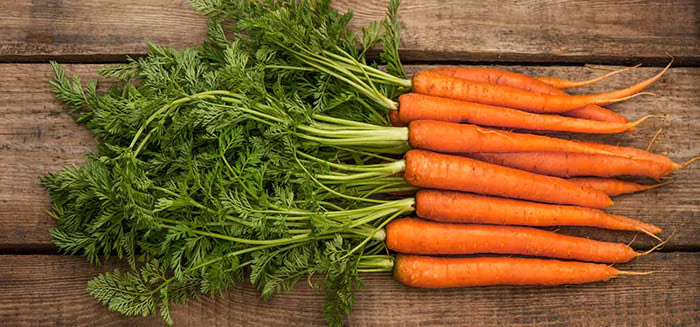 Полезная морковь для организма